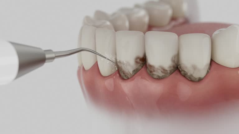 Reliable Dental contractor in Dahlgren, VA by Dentist Open Now